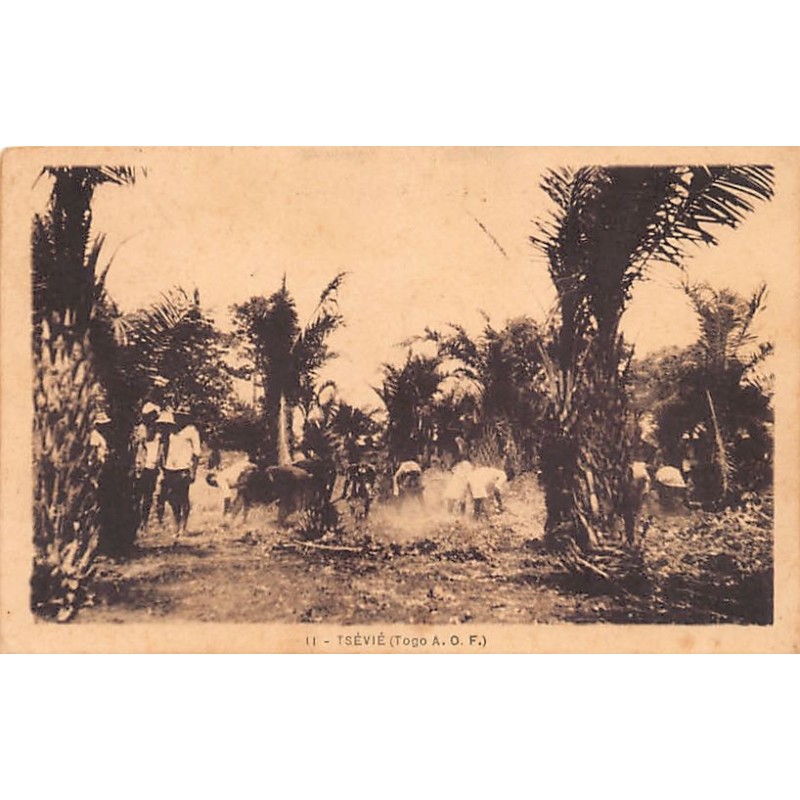 Rare collectable postcards of Togo. Vintage Postcards of Togo