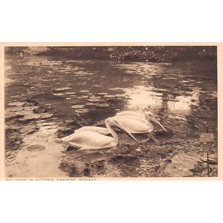 Rare collectable postcards of India. Vintage Postcards of India