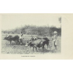 Rare collectable postcards of India. Vintage Postcards of India
