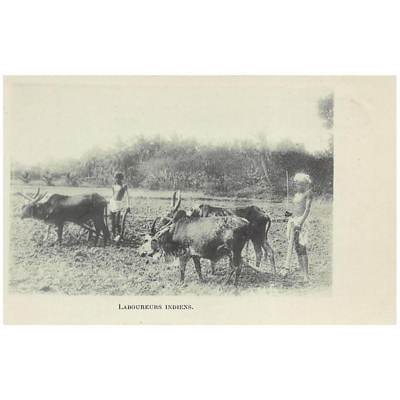 Rare collectable postcards of India. Vintage Postcards of India