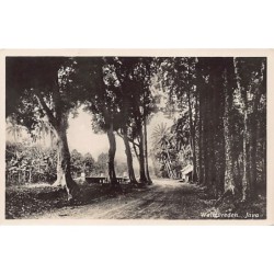 Rare collectable postcards of Indonesia. Vintage Postcards of Indonesia