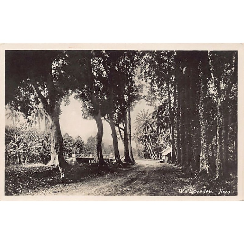 Rare collectable postcards of Indonesia. Vintage Postcards of Indonesia