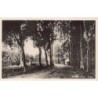 Rare collectable postcards of Indonesia. Vintage Postcards of Indonesia
