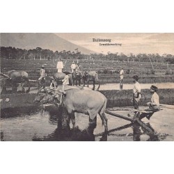 Rare collectable postcards of Indonesia. Vintage Postcards of Indonesia
