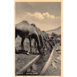 Rare collectable postcards of Israel / Palestine. Vintage Postcards of Israel / Palestine