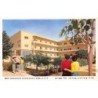 Rare collectable postcards of Israel / Palestine. Vintage Postcards of Israel / Palestine
