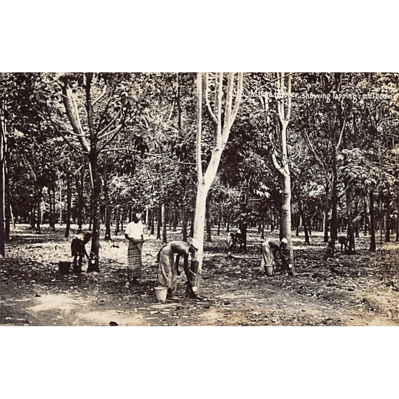 Rare collectable postcards of Malaysia. Vintage Postcards of Malaysia