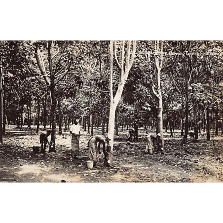 Rare collectable postcards of Malaysia. Vintage Postcards of Malaysia