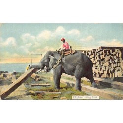 Rare collectable postcards of Myanmar (Burma). Vintage Postcards of Myanmar (Burma)