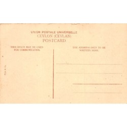 Rare collectable postcards of Sri Lanka (Ceylon). Vintage Postcards of Sri Lanka (Ceylon)