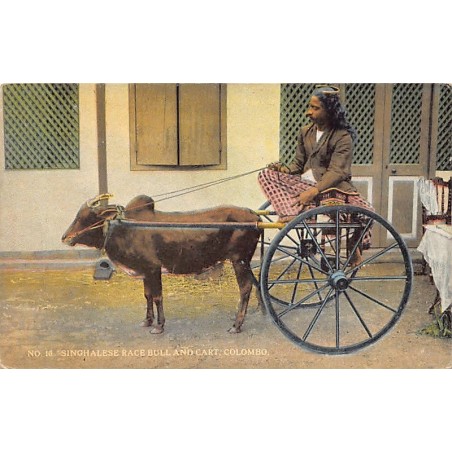 Rare collectable postcards of Sri Lanka (Ceylon). Vintage Postcards of Sri Lanka (Ceylon)