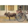 Rare collectable postcards of Sri Lanka (Ceylon). Vintage Postcards of Sri Lanka (Ceylon)