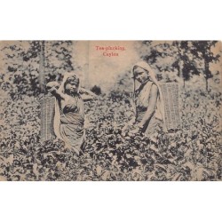 Rare collectable postcards of Sri Lanka (Ceylon). Vintage Postcards of Sri Lanka (Ceylon)