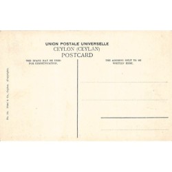 Rare collectable postcards of Sri Lanka (Ceylon). Vintage Postcards of Sri Lanka (Ceylon)