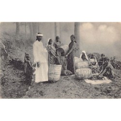 Rare collectable postcards of Sri Lanka (Ceylon). Vintage Postcards of Sri Lanka (Ceylon)