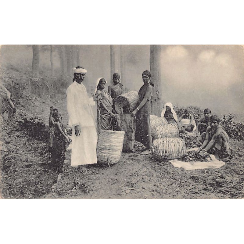 Rare collectable postcards of Sri Lanka (Ceylon). Vintage Postcards of Sri Lanka (Ceylon)