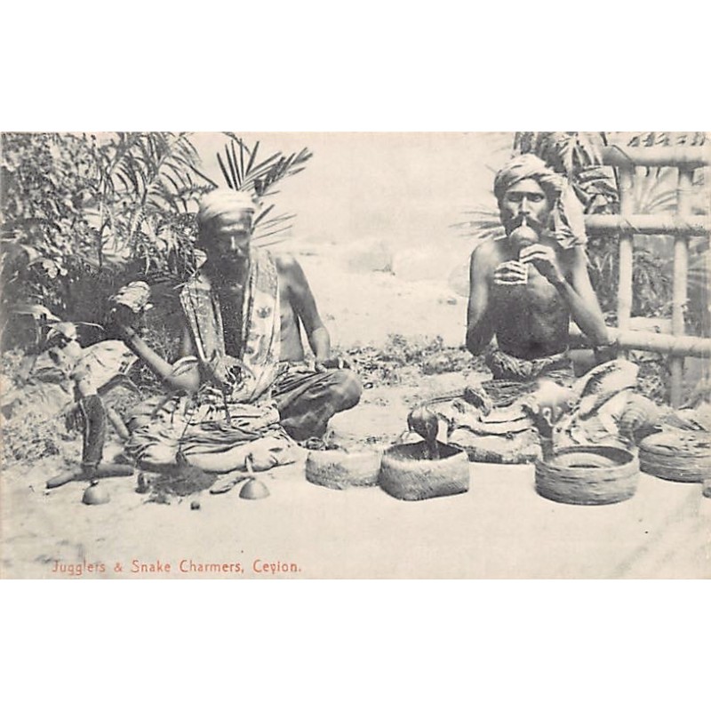 Rare collectable postcards of Sri Lanka (Ceylon). Vintage Postcards of Sri Lanka (Ceylon)