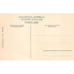 Rare collectable postcards of Sri Lanka (Ceylon). Vintage Postcards of Sri Lanka (Ceylon)