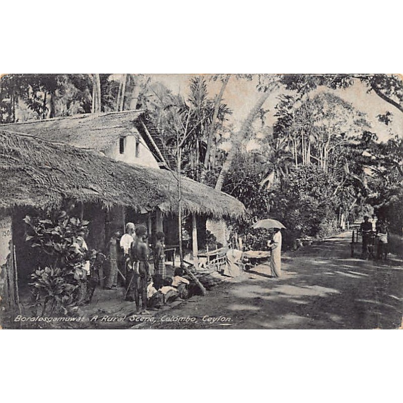 Rare collectable postcards of Sri Lanka (Ceylon). Vintage Postcards of Sri Lanka (Ceylon)