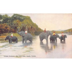 Rare collectable postcards of Sri Lanka (Ceylon). Vintage Postcards of Sri Lanka (Ceylon)