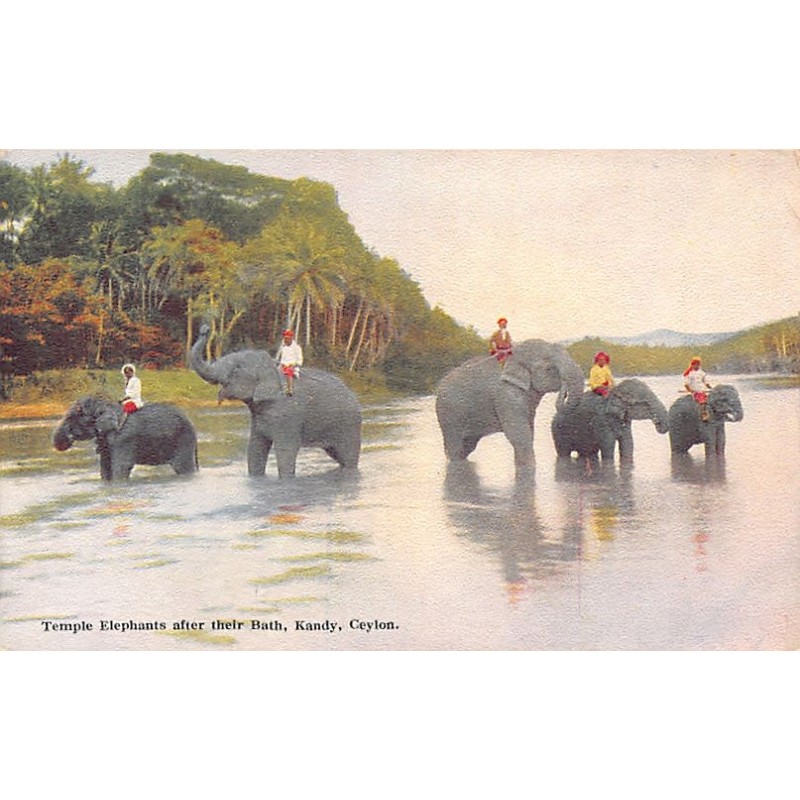 Rare collectable postcards of Sri Lanka (Ceylon). Vintage Postcards of Sri Lanka (Ceylon)