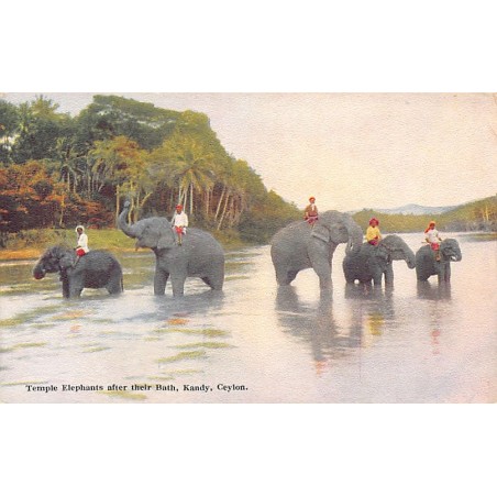 Rare collectable postcards of Sri Lanka (Ceylon). Vintage Postcards of Sri Lanka (Ceylon)