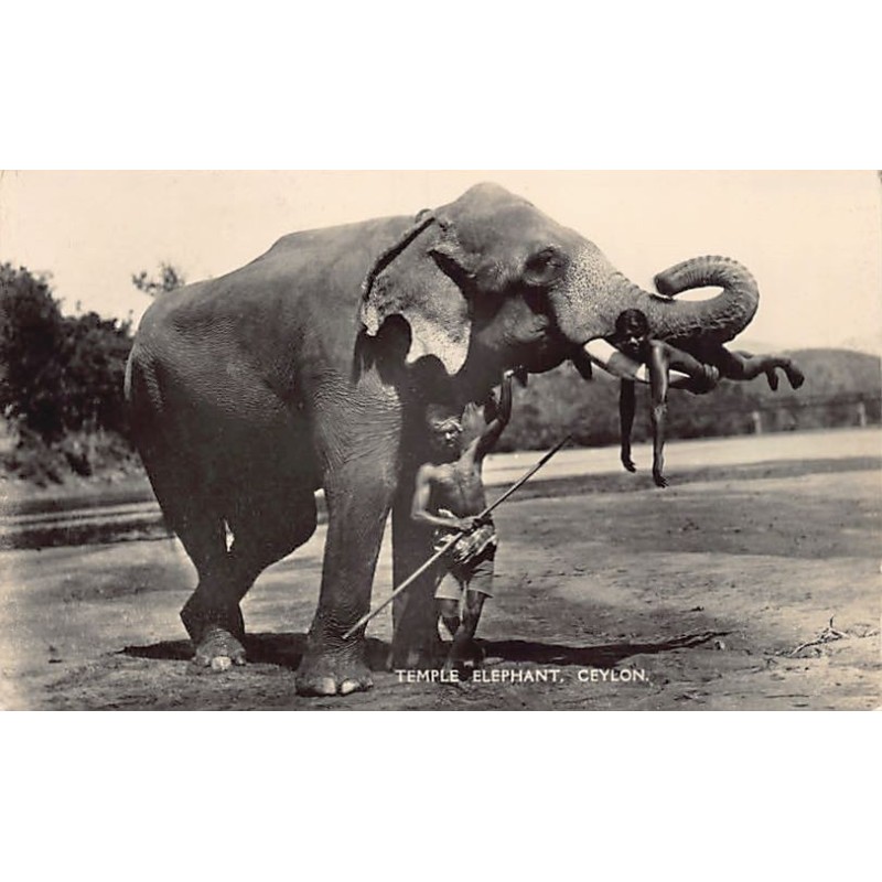 Rare collectable postcards of Sri Lanka (Ceylon). Vintage Postcards of Sri Lanka (Ceylon)