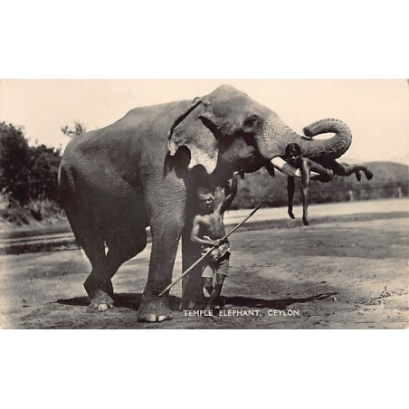 Rare collectable postcards of Sri Lanka (Ceylon). Vintage Postcards of Sri Lanka (Ceylon)