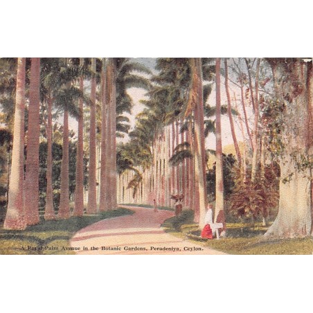 Rare collectable postcards of Sri Lanka (Ceylon). Vintage Postcards of Sri Lanka (Ceylon)