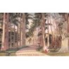 Rare collectable postcards of Sri Lanka (Ceylon). Vintage Postcards of Sri Lanka (Ceylon)