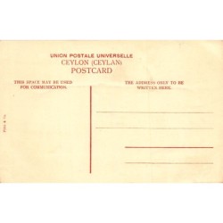 Rare collectable postcards of Sri Lanka (Ceylon). Vintage Postcards of Sri Lanka (Ceylon)