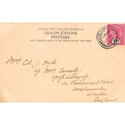 Rare collectable postcards of Sri Lanka (Ceylon). Vintage Postcards of Sri Lanka (Ceylon)