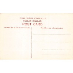 Rare collectable postcards of Sri Lanka (Ceylon). Vintage Postcards of Sri Lanka (Ceylon)