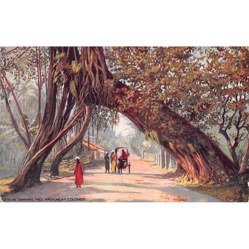 Rare collectable postcards of Sri Lanka (Ceylon). Vintage Postcards of Sri Lanka (Ceylon)