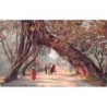 Rare collectable postcards of Sri Lanka (Ceylon). Vintage Postcards of Sri Lanka (Ceylon)