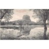 Rare collectable postcards of Sri Lanka (Ceylon). Vintage Postcards of Sri Lanka (Ceylon)