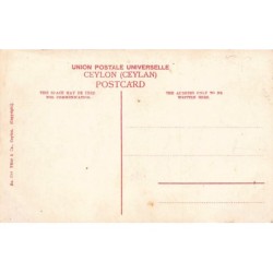 Rare collectable postcards of Sri Lanka (Ceylon). Vintage Postcards of Sri Lanka (Ceylon)
