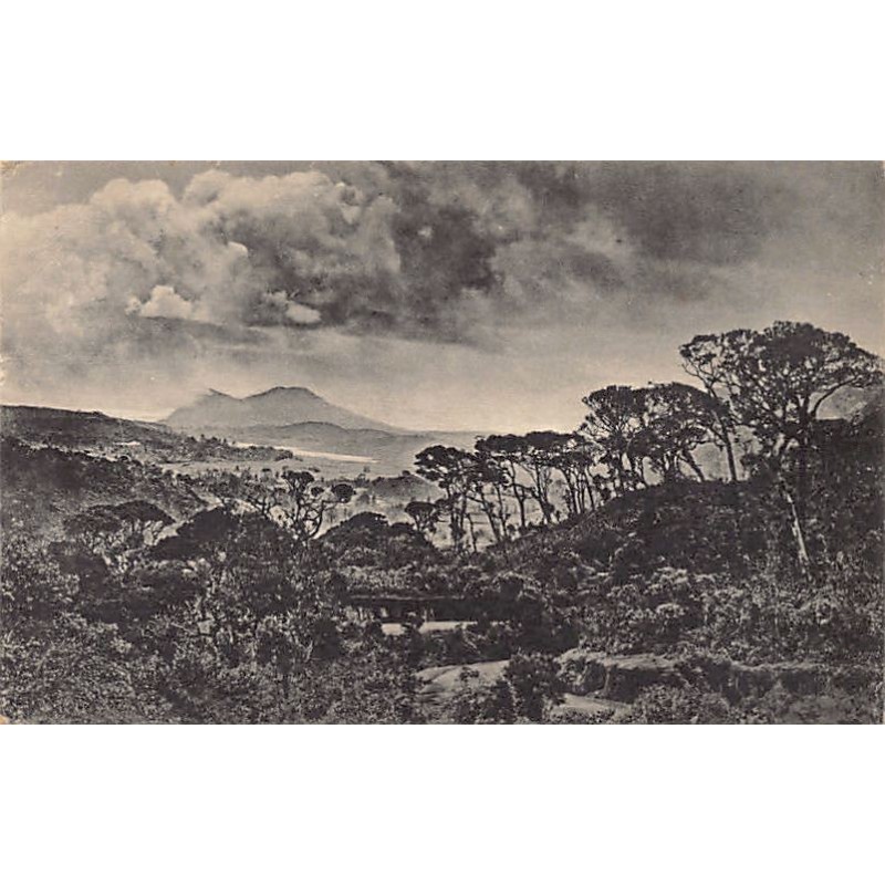 Rare collectable postcards of Sri Lanka (Ceylon). Vintage Postcards of Sri Lanka (Ceylon)