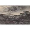 Rare collectable postcards of Sri Lanka (Ceylon). Vintage Postcards of Sri Lanka (Ceylon)