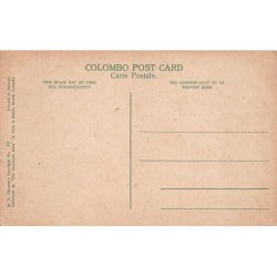 Rare collectable postcards of Sri Lanka (Ceylon). Vintage Postcards of Sri Lanka (Ceylon)