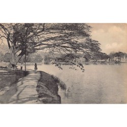 Rare collectable postcards of Sri Lanka (Ceylon). Vintage Postcards of Sri Lanka (Ceylon)