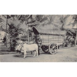 Rare collectable postcards of Sri Lanka (Ceylon). Vintage Postcards of Sri Lanka (Ceylon)
