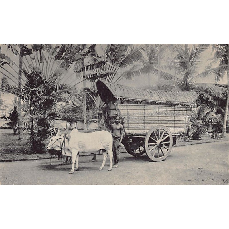 Rare collectable postcards of Sri Lanka (Ceylon). Vintage Postcards of Sri Lanka (Ceylon)