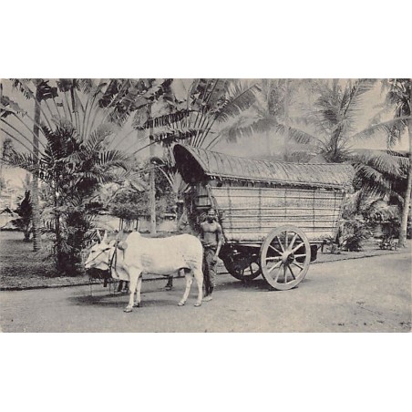 Rare collectable postcards of Sri Lanka (Ceylon). Vintage Postcards of Sri Lanka (Ceylon)