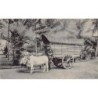 Rare collectable postcards of Sri Lanka (Ceylon). Vintage Postcards of Sri Lanka (Ceylon)
