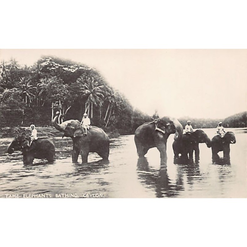 Rare collectable postcards of Sri Lanka (Ceylon). Vintage Postcards of Sri Lanka (Ceylon)