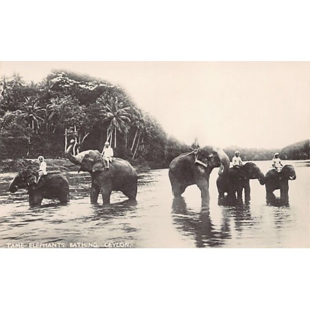Rare collectable postcards of Sri Lanka (Ceylon). Vintage Postcards of Sri Lanka (Ceylon)