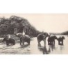 Rare collectable postcards of Sri Lanka (Ceylon). Vintage Postcards of Sri Lanka (Ceylon)