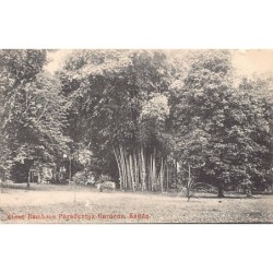 Rare collectable postcards of Sri Lanka (Ceylon). Vintage Postcards of Sri Lanka (Ceylon)
