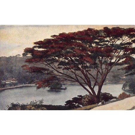 Rare collectable postcards of Sri Lanka (Ceylon). Vintage Postcards of Sri Lanka (Ceylon)